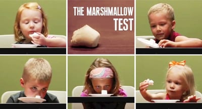 marshmallow-test.jpg