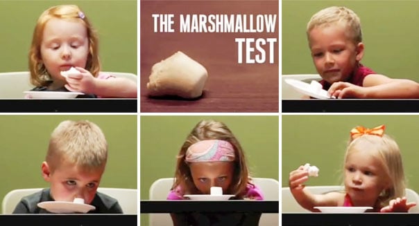 marshmallow-test.jpg