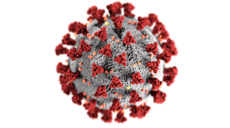 coronavirus19