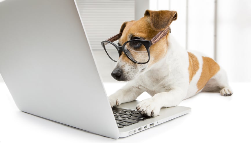 elearning_lessons_from_dogs_blog_.png